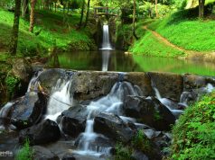 Agama dan Masalah Krisis Lingkungan