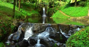 Agama dan Masalah Krisis Lingkungan